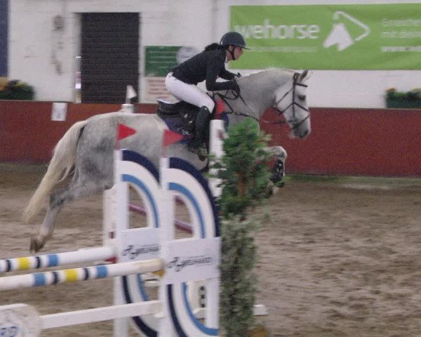 Reitturnier Neunkirchen-Furpach 2019