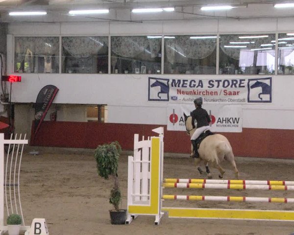 Reitturnier Neunkirchen-Furpach 2019