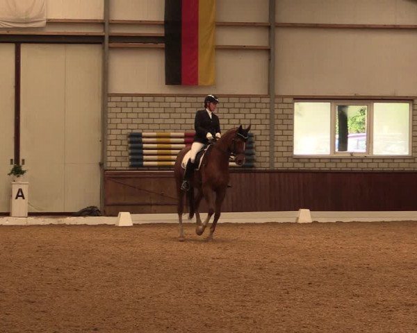 Reitturnier Kirchhellen-RSV Zur Linde 2019