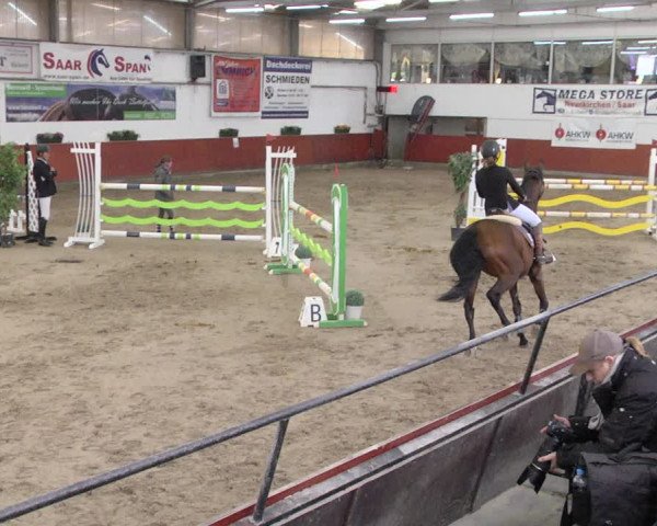 Reitturnier Neunkirchen-Furpach 2019