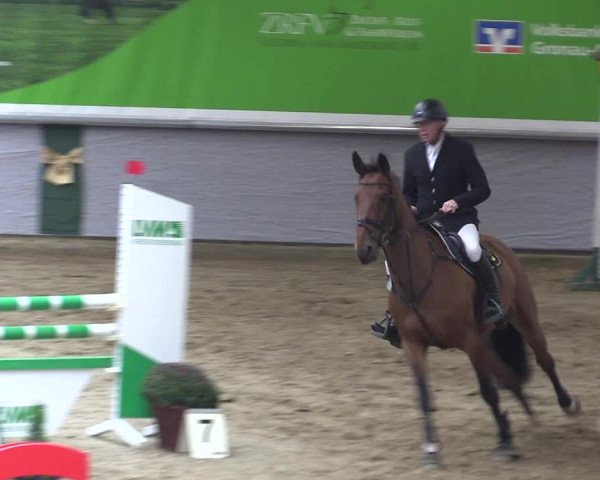 Reitturnier Legden 2019