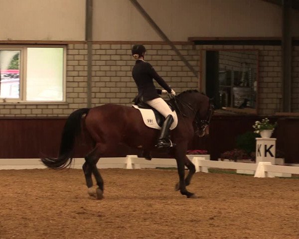 Reitturnier Kirchhellen-RSV Zur Linde 2019