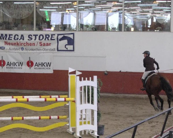 Reitturnier Neunkirchen-Furpach 2019