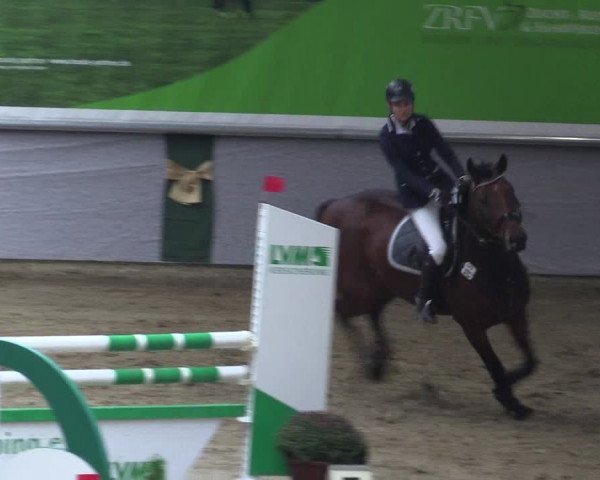 Reitturnier Legden 2019