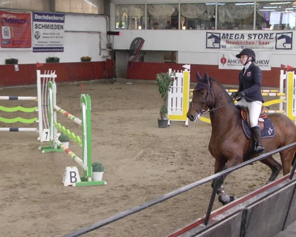 Reitturnier Neunkirchen-Furpach 2019