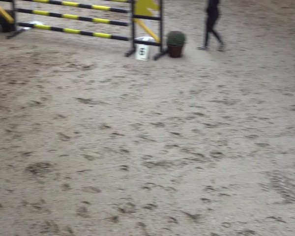 Reitturnier Legden 2019