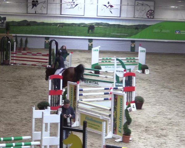 Reitturnier Legden 2019