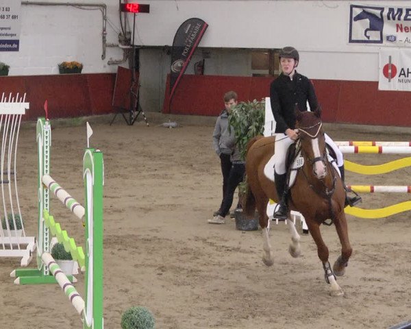 Reitturnier Neunkirchen-Furpach 2019