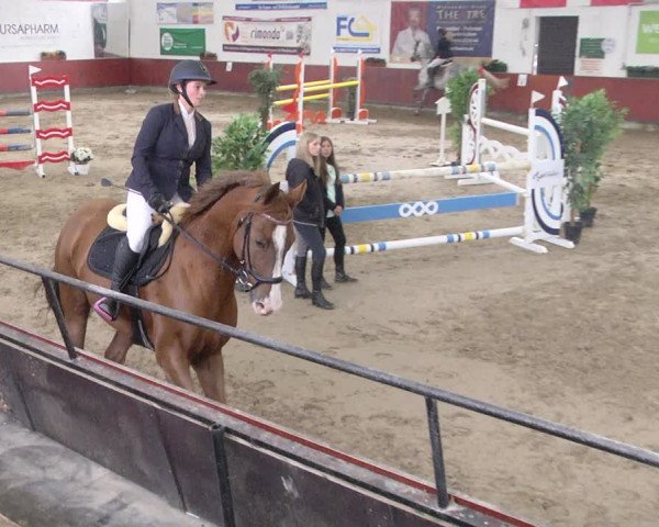 Reitturnier Neunkirchen-Furpach 2019