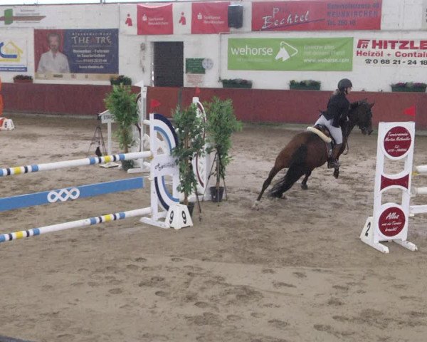 Reitturnier Neunkirchen-Furpach 2019