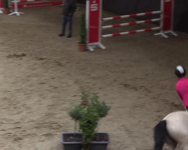 Reitturnier Legden 2019