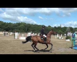 jumper Turlupin de La Lande (Selle Français, 2007, from Easy Boy)