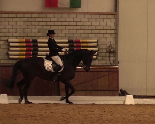 Reitturnier Kirchhellen-RSV Zur Linde 2019