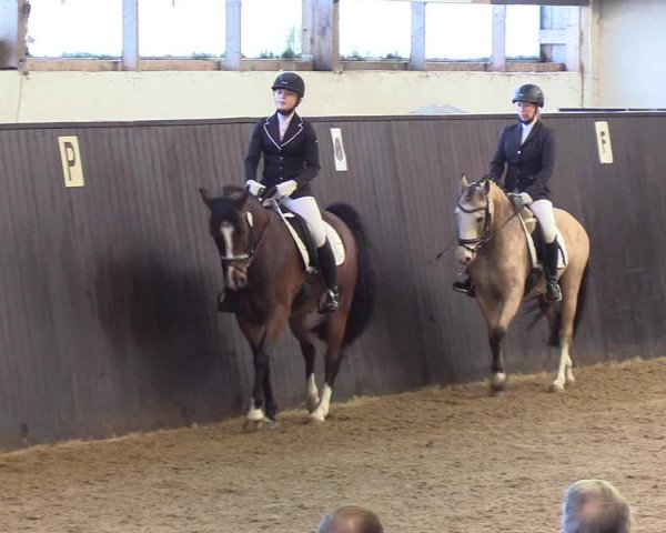 Reitturnier St. Peter Ording 2019