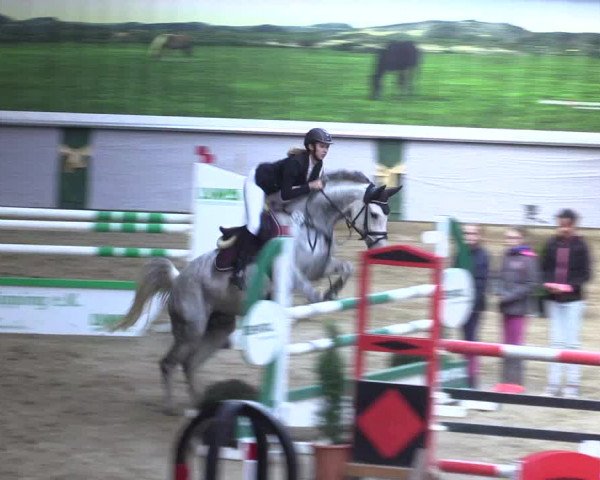 Reitturnier Legden 2019