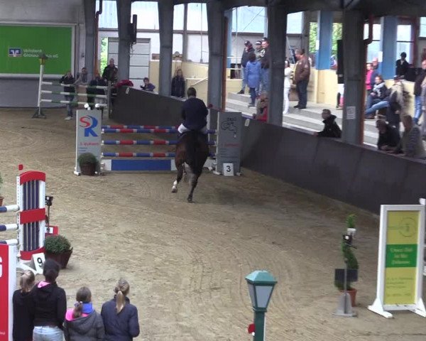 Reitturnier Legden 2019