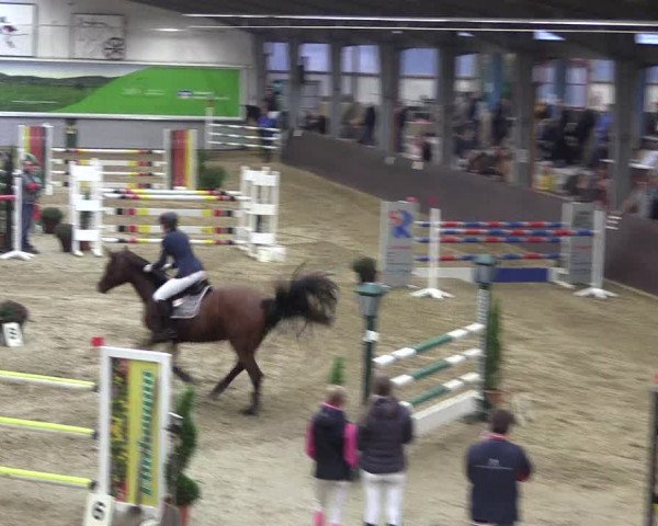 Reitturnier Legden 2019