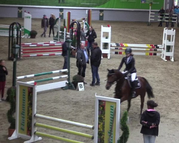 Reitturnier Legden 2019