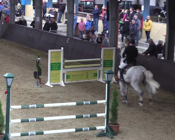 Reitturnier Legden 2019