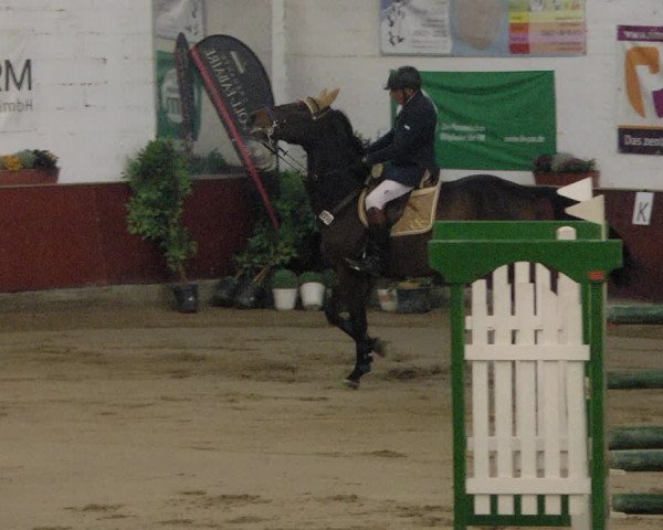 Reitturnier Neunkirchen-Furpach 2019