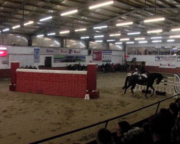 Reitturnier Neunkirchen-Furpach 2019