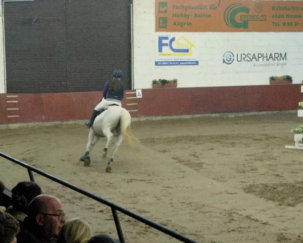 Reitturnier Neunkirchen-Furpach 2019
