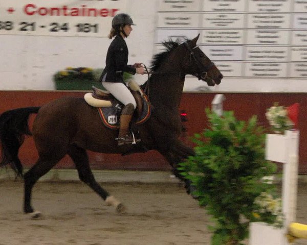Reitturnier Neunkirchen-Furpach 2019