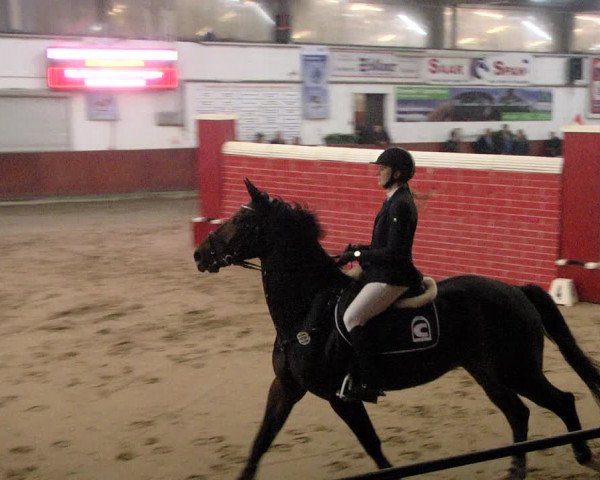 Reitturnier Neunkirchen-Furpach 2019