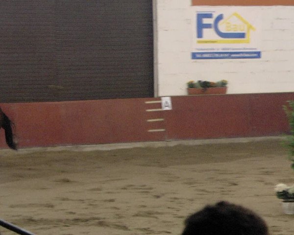 Reitturnier Neunkirchen-Furpach 2019