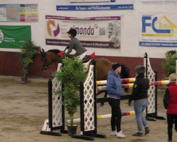 Reitturnier Neunkirchen-Furpach 2019