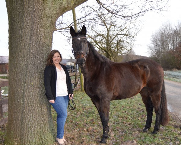 horse Aljoscha (Hanoverian, 1990, from Argument)