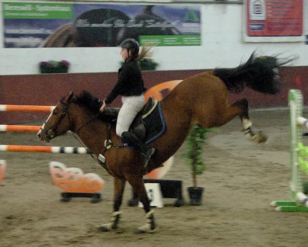 Reitturnier Neunkirchen-Furpach 2019