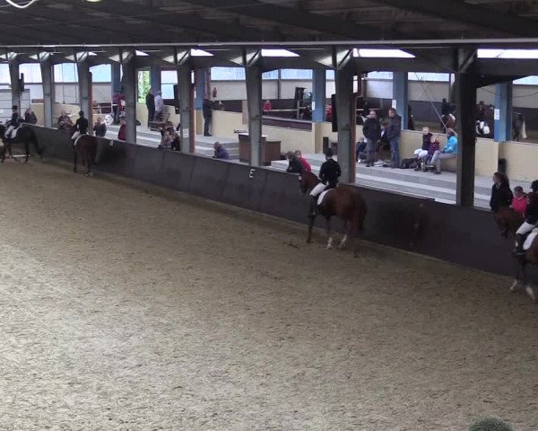 Reitturnier Legden 2019