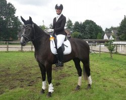 dressage horse Lucy's Tochter (Alt-Oldenburger / Ostfriesen, 2011, from Landor)