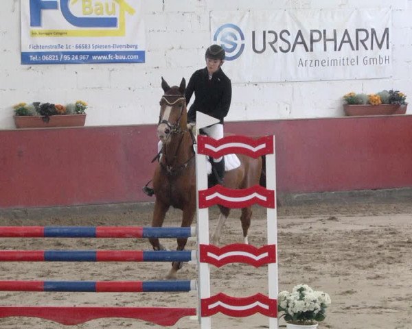 Reitturnier Neunkirchen-Furpach 2019
