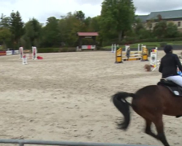 Reitturnier Frankenhof-Sonnefeld/Ofr. 2019