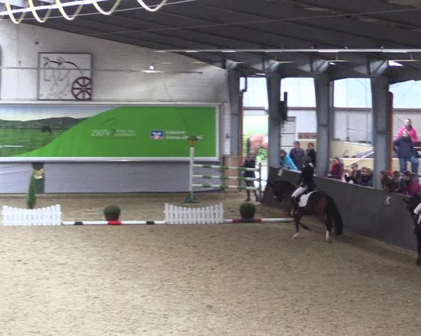 Reitturnier Legden 2019