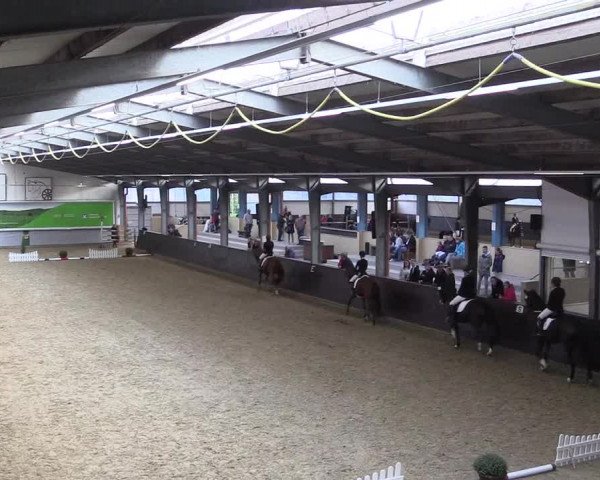 Reitturnier Legden 2019