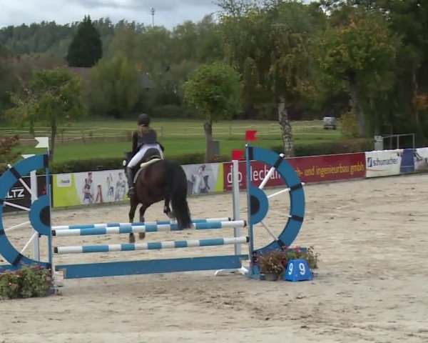 Reitturnier Frankenhof-Sonnefeld/Ofr. 2019