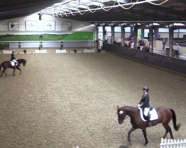 Reitturnier Legden 2019