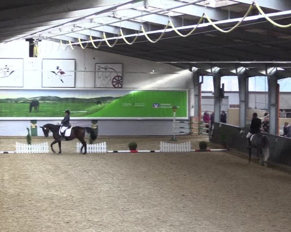 Reitturnier Legden 2019