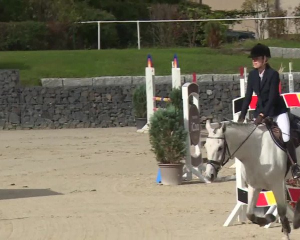 Reitturnier Frankenhof-Sonnefeld/Ofr. 2019