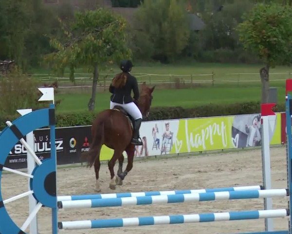Reitturnier Frankenhof-Sonnefeld/Ofr. 2019
