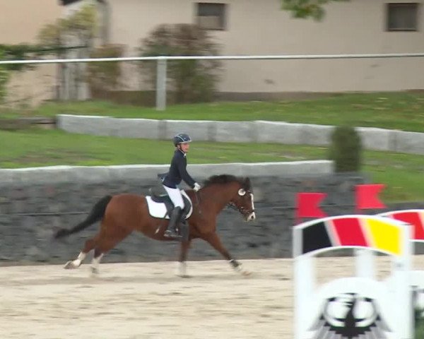 Reitturnier Frankenhof-Sonnefeld/Ofr. 2019