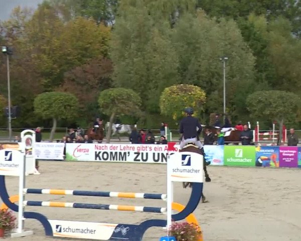 Reitturnier Frankenhof-Sonnefeld/Ofr. 2019
