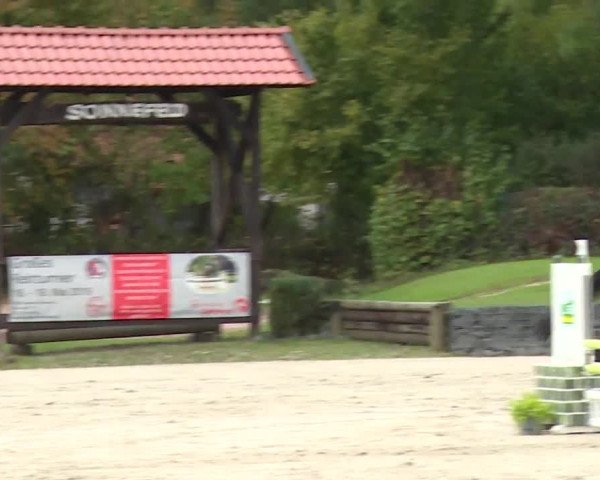Reitturnier Frankenhof-Sonnefeld/Ofr. 2019