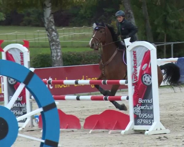 Reitturnier Frankenhof-Sonnefeld/Ofr. 2019