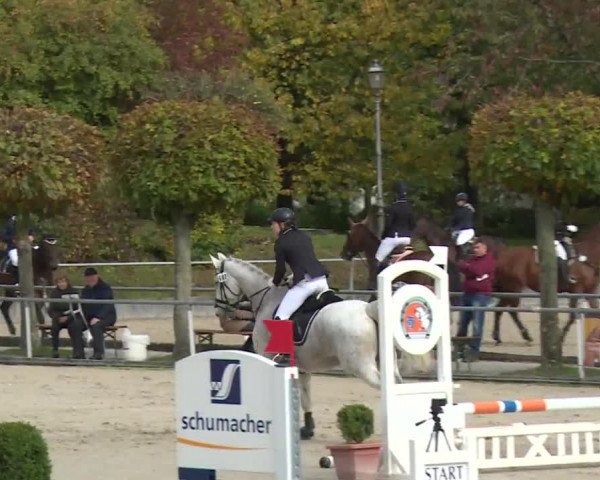 Reitturnier Frankenhof-Sonnefeld/Ofr. 2019