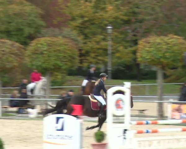 Reitturnier Frankenhof-Sonnefeld/Ofr. 2019