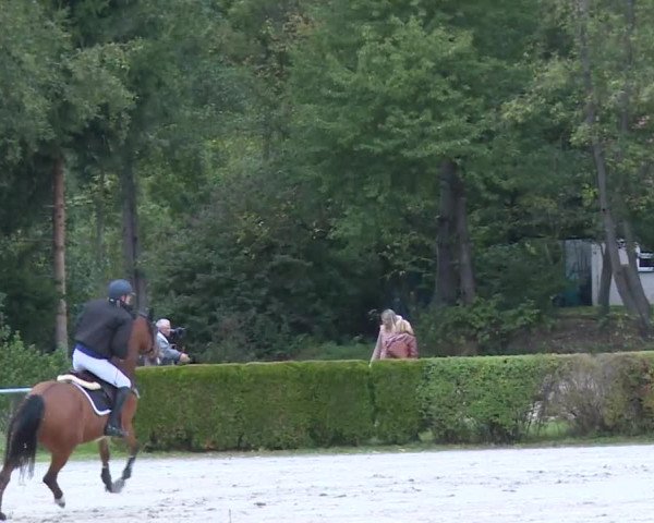 Reitturnier Frankenhof-Sonnefeld/Ofr. 2019